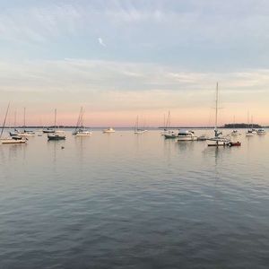 Meet your Posher, Kayle